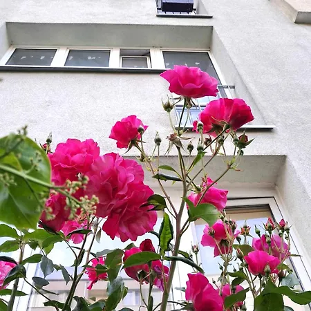 U Krysi Ul Rybaki 19 Centrum Miasta * Swinemünde