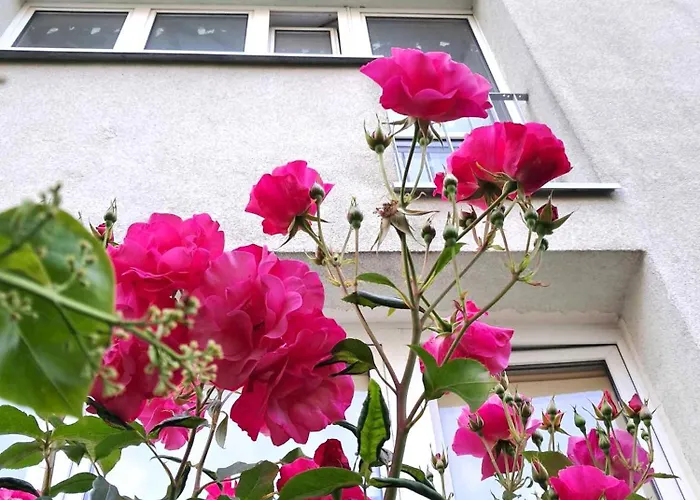 U Krysi Ul Rybaki 19 Centrum Miasta * Świnoujście